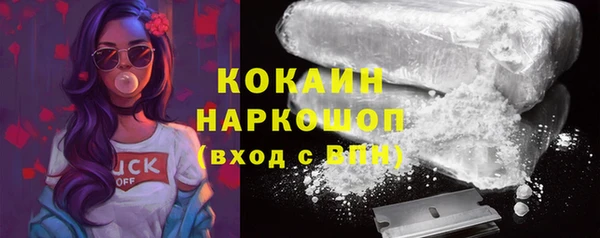 бошки Алексин