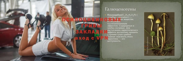 бошки Алексин