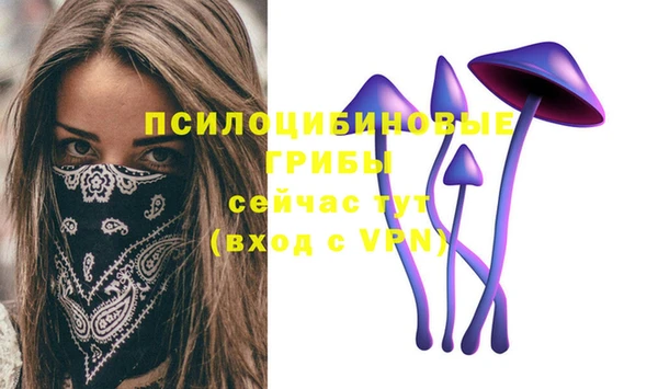 эйфоретик Алзамай