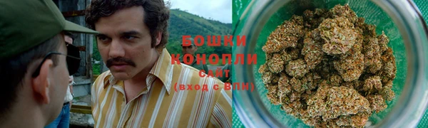 бошки Алексин