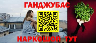 индика Новозыбков