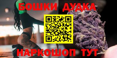 индика Новозыбков