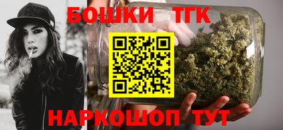 индика Новозыбков