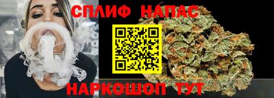 индика Новозыбков
