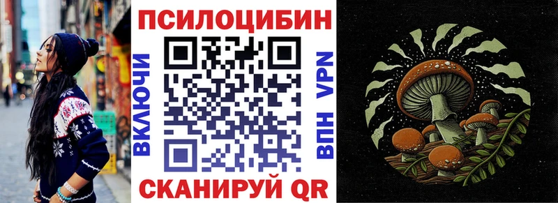 магазин продажи наркотиков  Курганинск  Псилоцибиновые грибы мицелий 