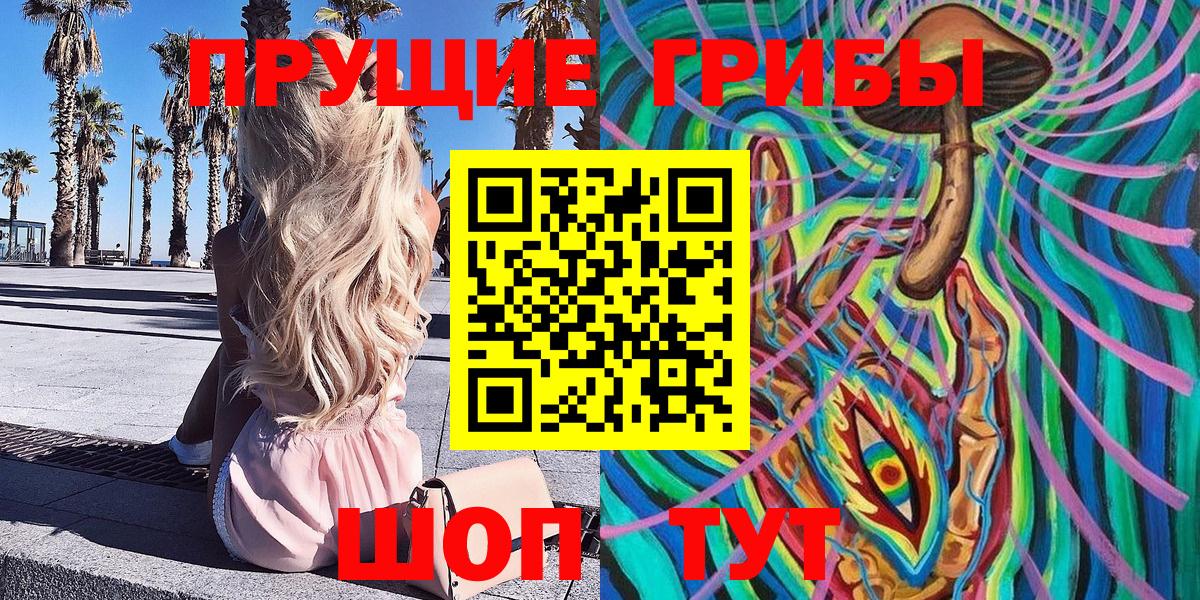 Курганинск  Псилоцибиновые грибы Psilocybine cubensis  Вход с VPN 